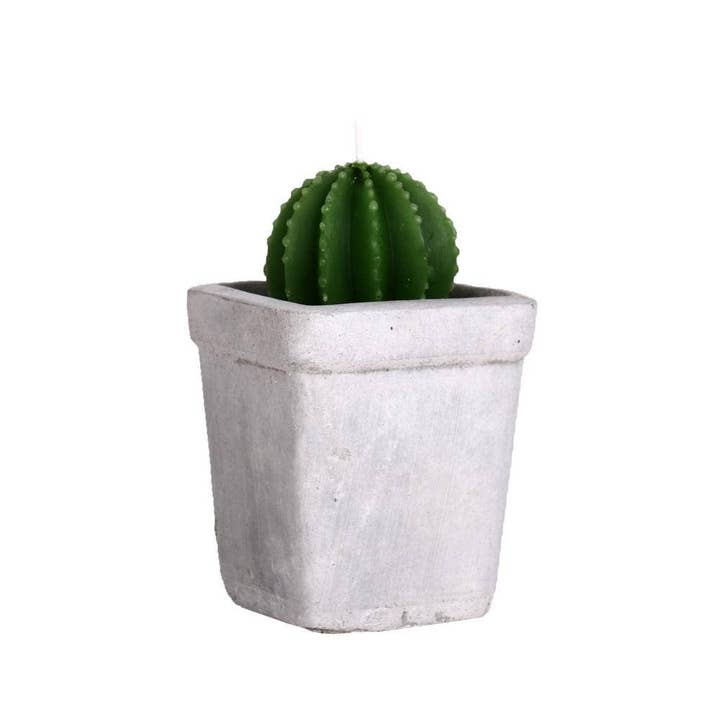 Helio Ferretti Candles & Co. - Wholesale Novelty Candle - CACTUS CEMENT CANDLES HF2
