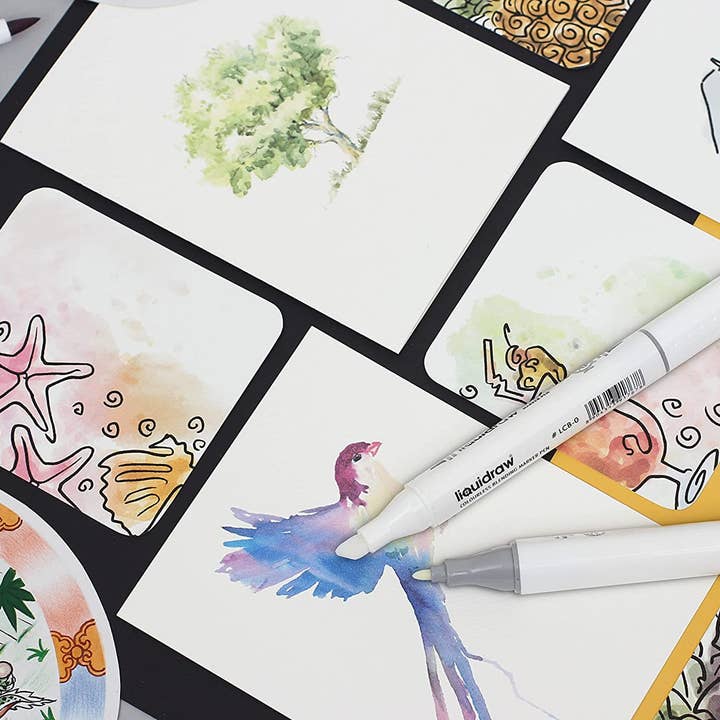 Liquidraw – wholesale Marker – Liquidraw Colourless Blender Marker, Dual Tip Marker, Colourless Blender Pen Alcohol Colorless Blending Graphic Marker For Art, Illustration, Animation, Portrait, Sketching, Drawing, Design3