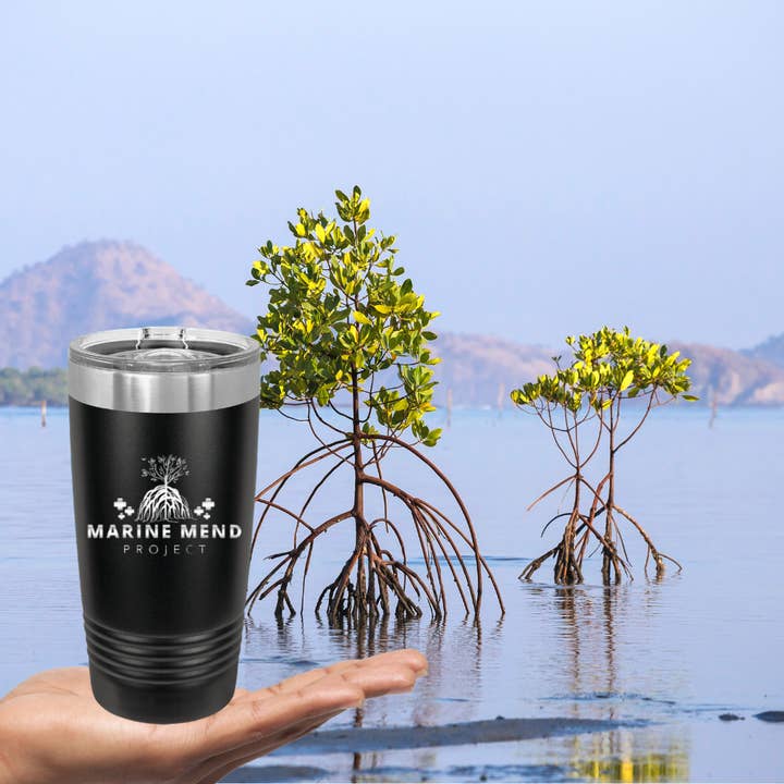 Mangrove Conservation Tumblers | 24 Bulk Tumblers | Stainles for wholesale by Marine Mend Project