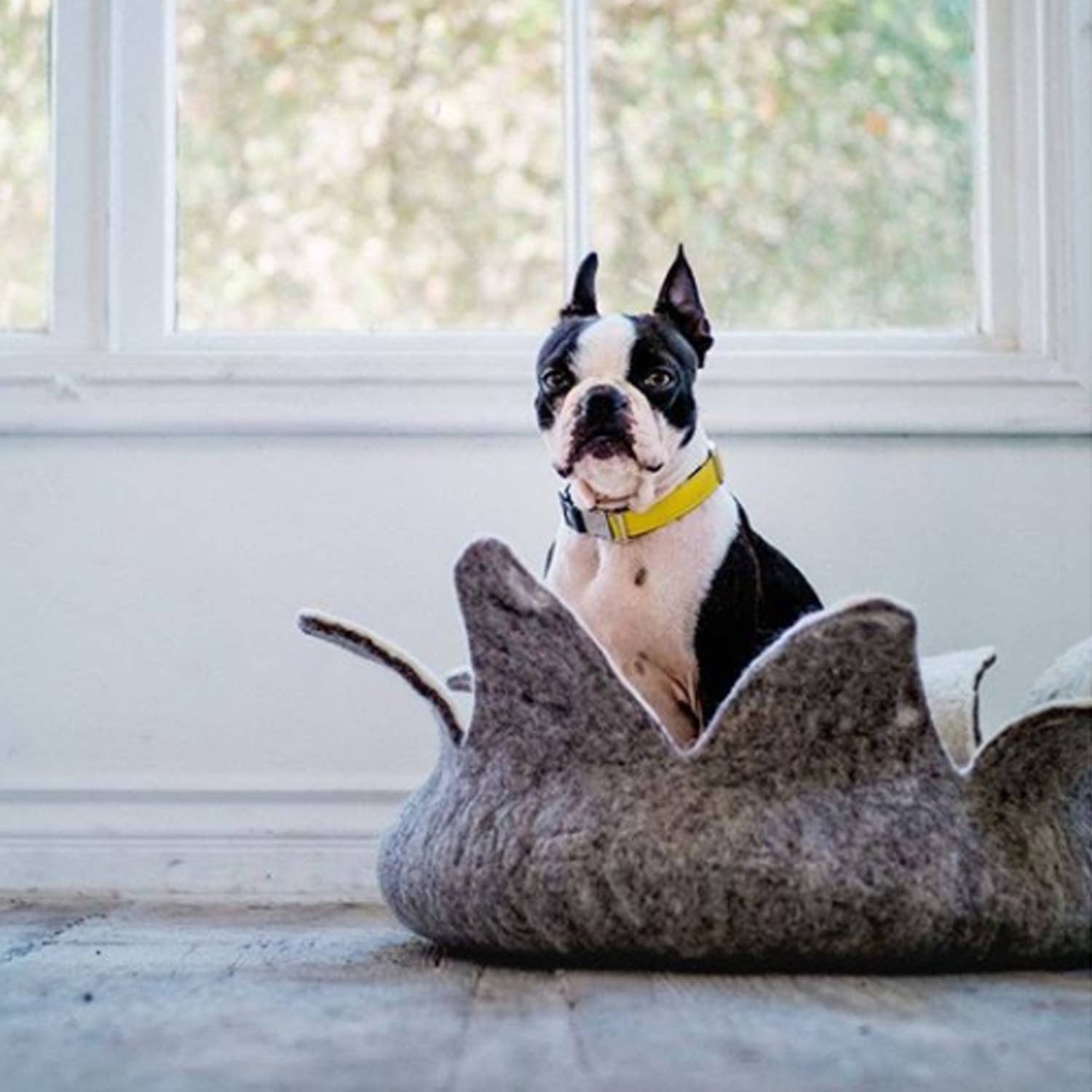 Karma Cat Inc. - Wholesale Pet Bed - Cat/Dog - Natural Petal Wool Pet Basket4