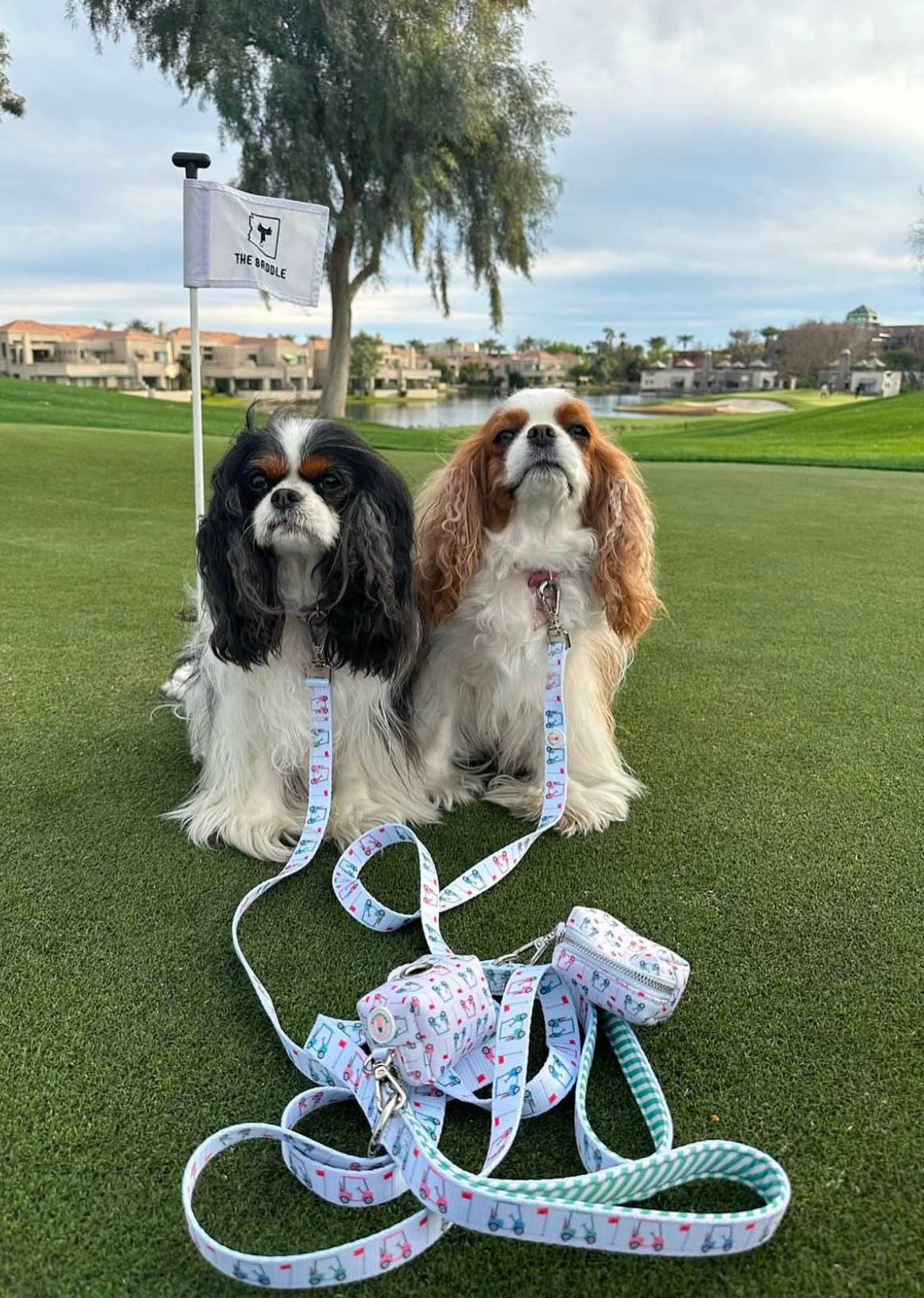 Covey Collection - Vente Laisse – chien - Laisse pour chien de golf2