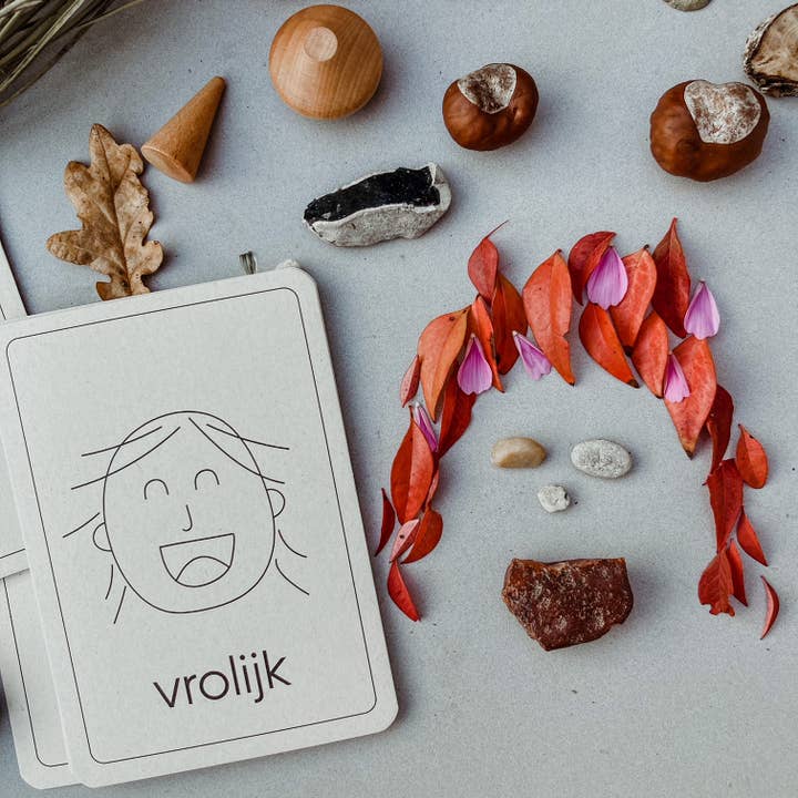 Wildebras - Wholesale Learning Cards - Kids & Baby - Emotion flashcards - Montessori toys4