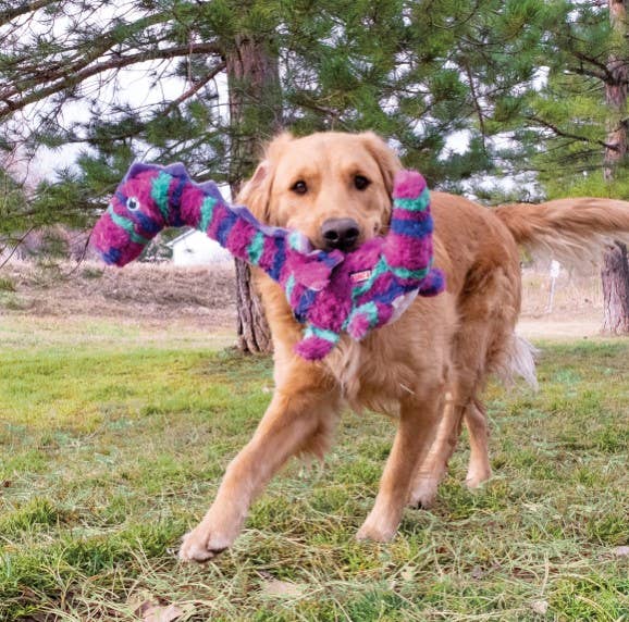 Pet Palette Distribution - Wholesale Pet Toy - Dog - KONG® Shakers™ Honkers Dragon Dog Plush Toy Large