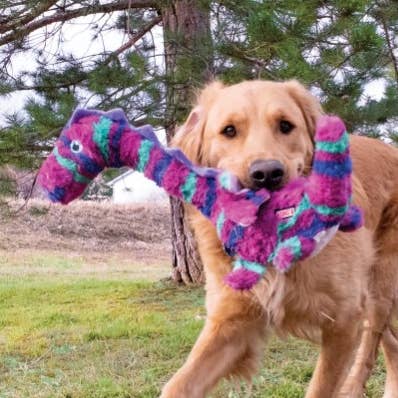 Pet Palette Distribution - Wholesale Pet Toy - Dog - KONG® Shakers™ Honkers Dragon Dog Plush Toy Large0