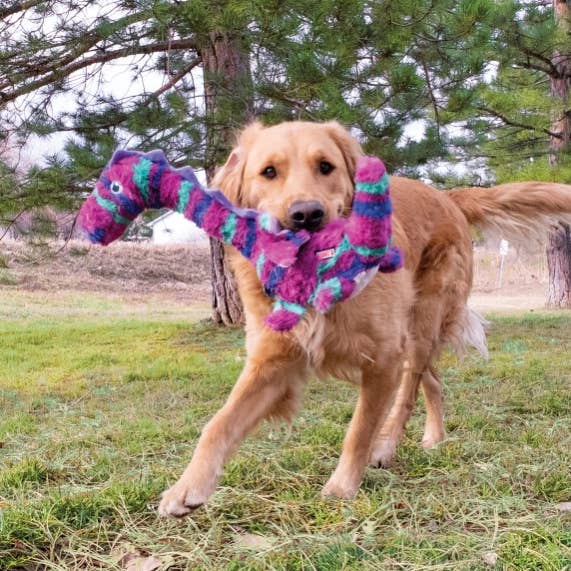 Pet Palette Distribution - Wholesale Pet Toy - Dog - KONG® Shakers™ Honkers Dragon Dog Plush Toy Large0