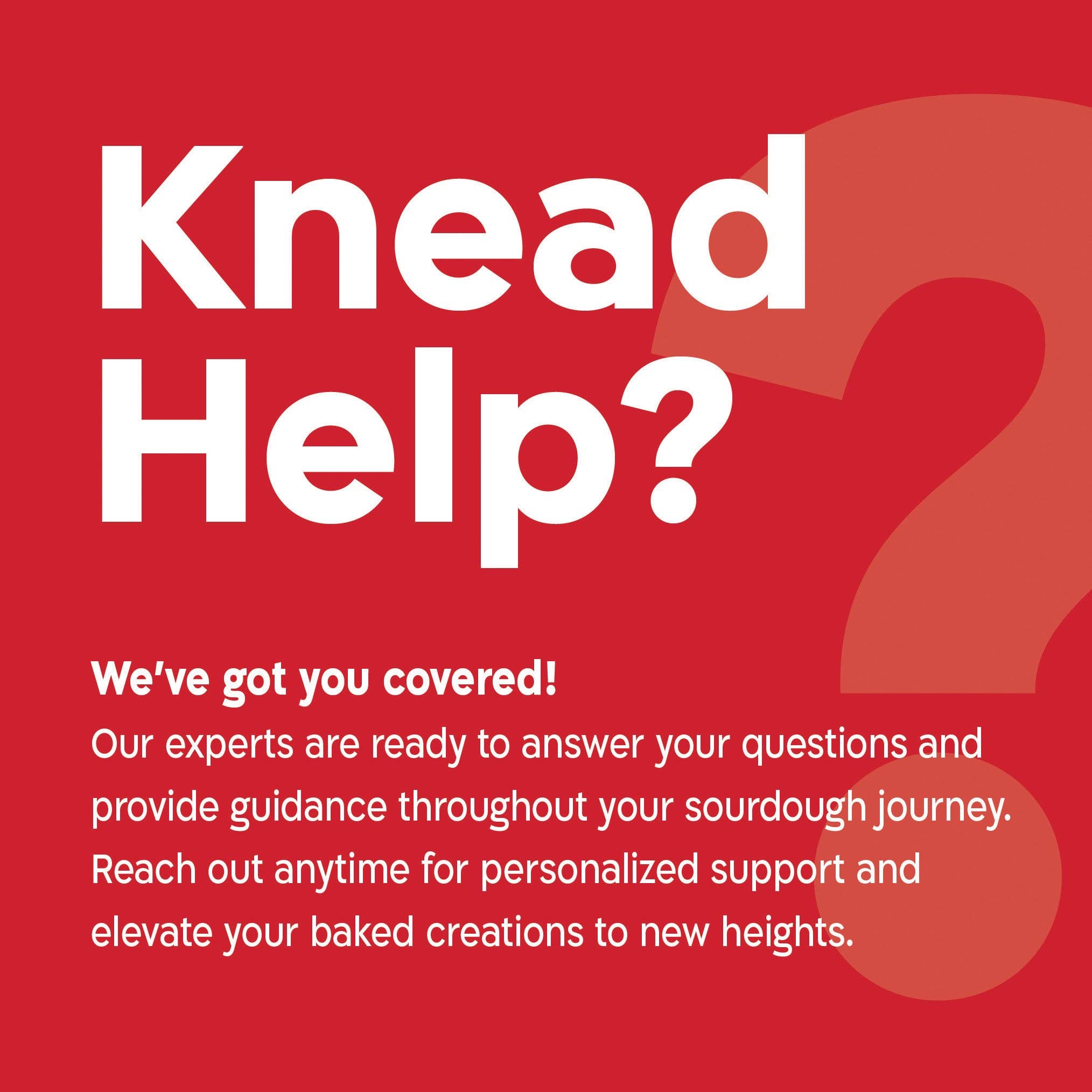 KneadAce – wholesale Kitchen tool/gadget – KneadAce® PRO  34 Oz Sourdough Starter Jar10