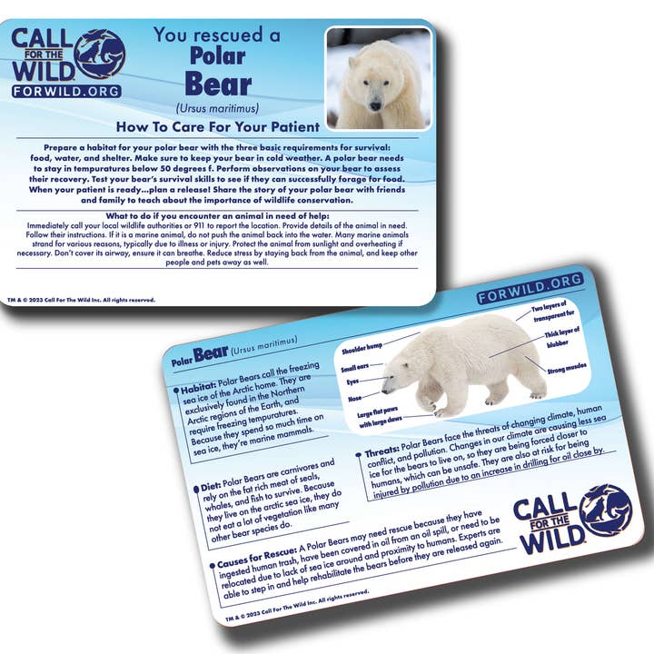 Call For The Wild - Wholesale Stuffed/plush toy – Kids & baby - Rescue Polar Bear3