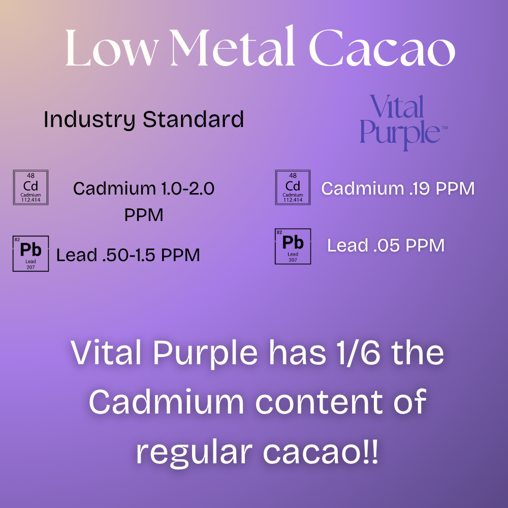 Vital Purple - Wholesale Cocoa Nibs - Energy Nibs High Flavanol Cocoa 10z | Truly Raw | High Antioxidant | Low Cadmium | Purple Cocoa4