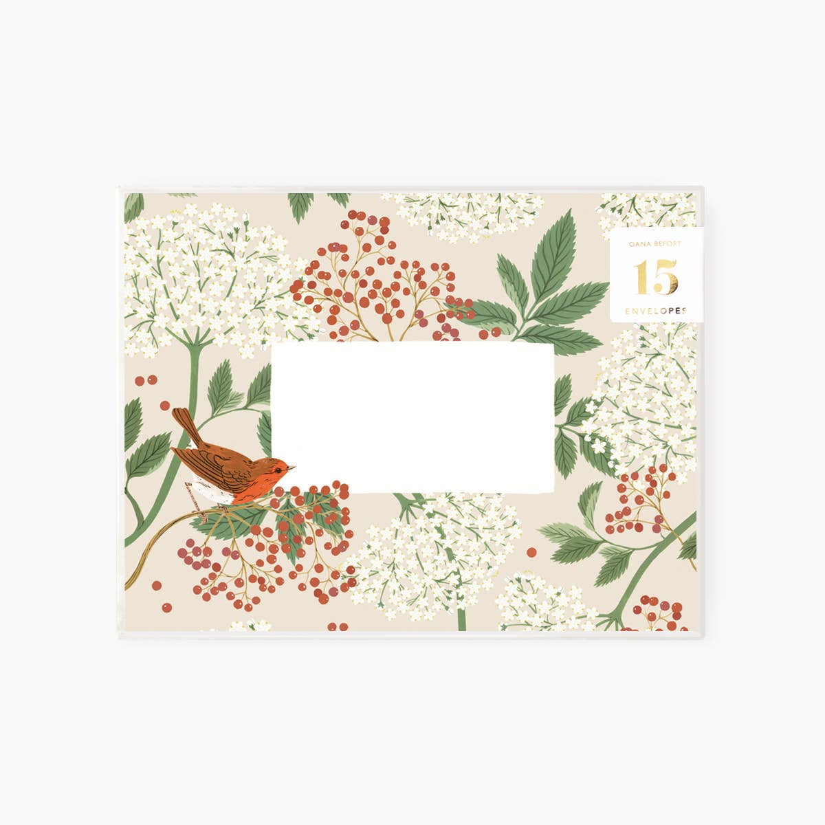 Botanica Paper Co. - Wholesale Enveloppen - ELDERBERRY | Set van 15 enveloppen in dozen