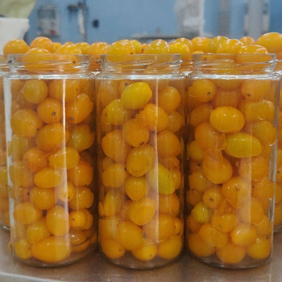 Cocco Food - Wholesale Pickled Vegetables - Datterino Giallo In Acqua Di Mare - Pasta dressing4