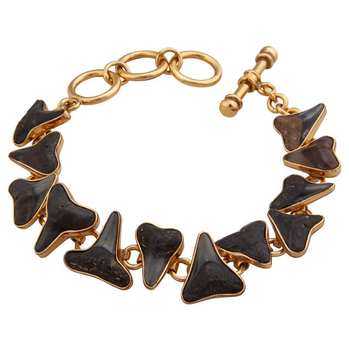 Alchemia Fossil Shark Teeth Bracelet for wholesale by Charles Albert Inc