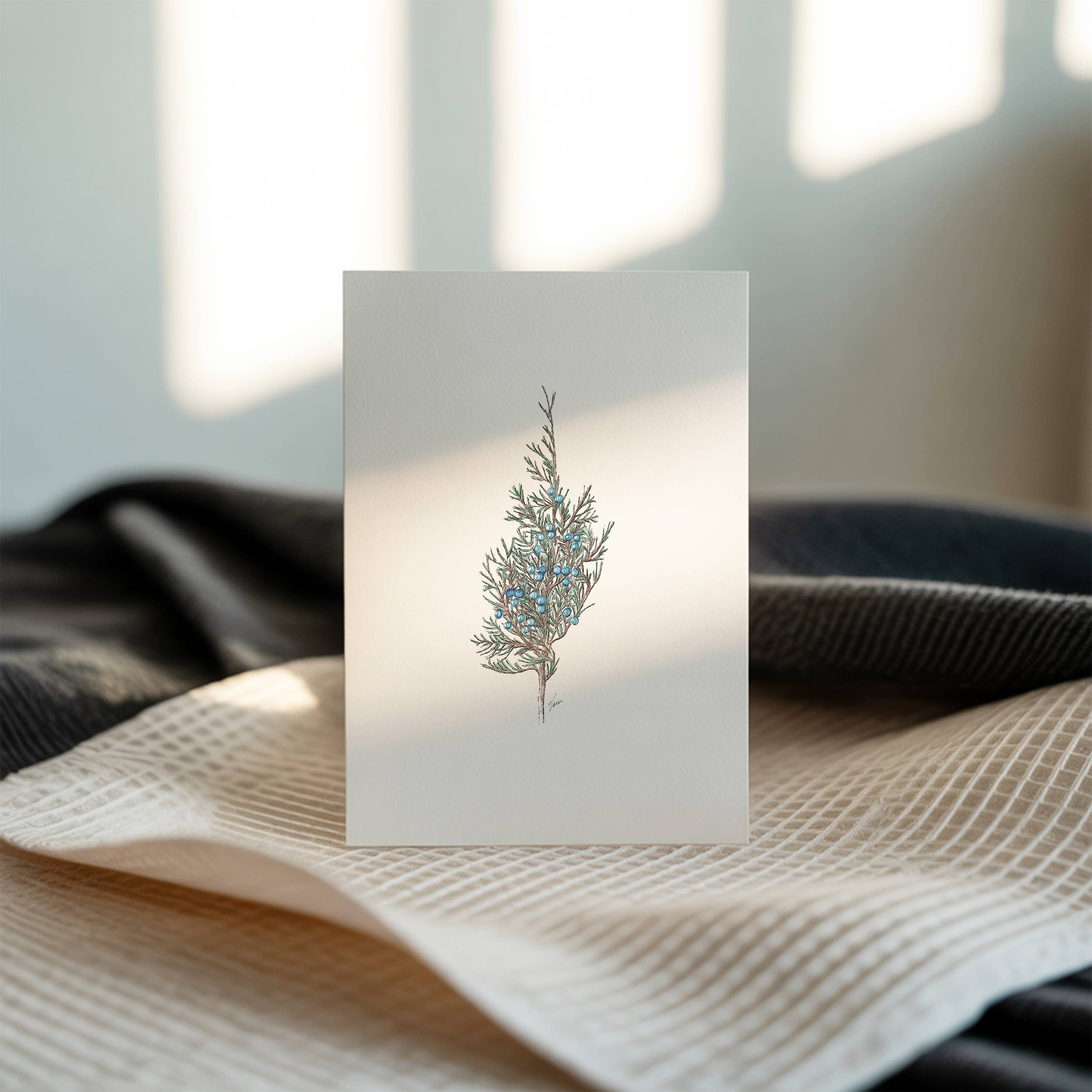 Vanee.ink - Wholesale Stationery/Notecard Set - Juniper Notecard2