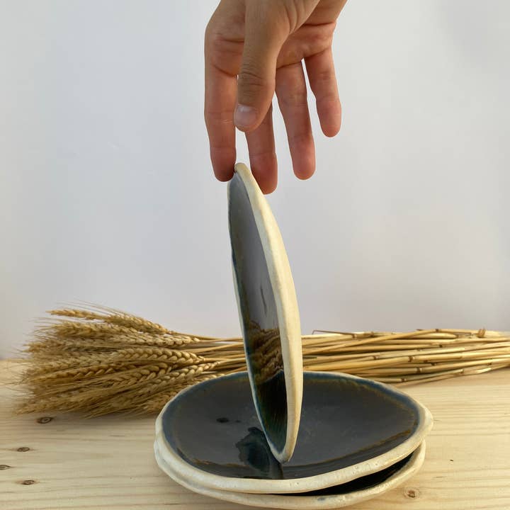 mynt ceramics - Wholesale Decorative Plate/Dish/Bowl - Plate in Shades of Blue and Brown | Handmade Ceramics4