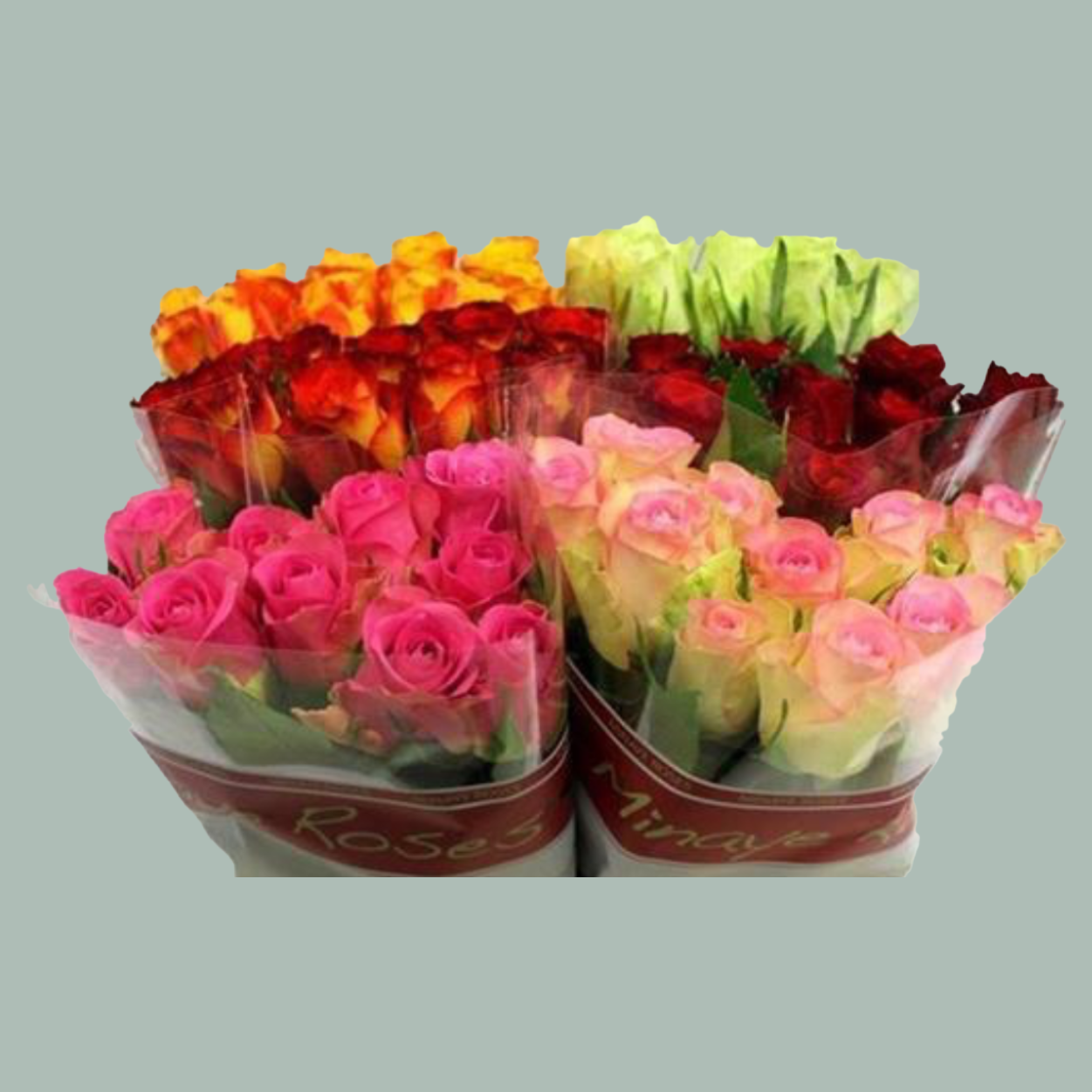 Mixed Rose Mix Var (100 Stems) for wholesale on Faire0