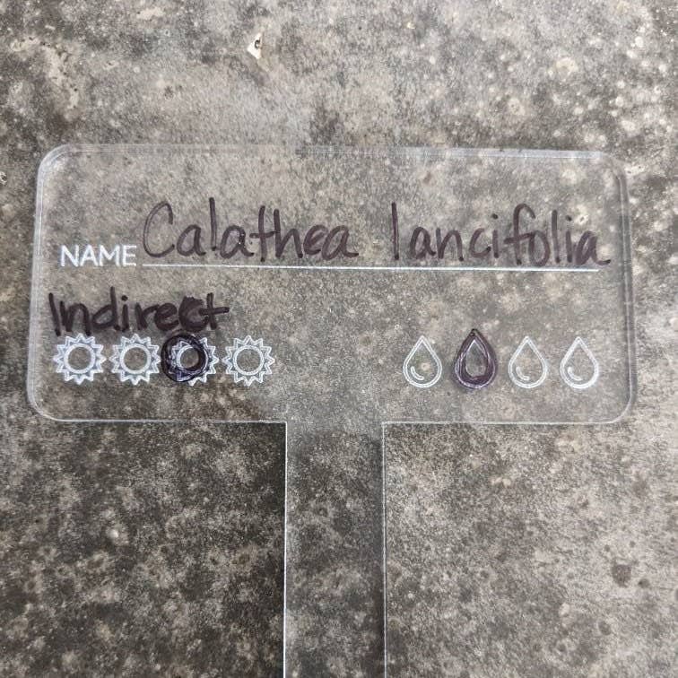 lou+teak – wholesale Garden tool – Plant Care Marker, Reusable Plant Tag, Laser Cut Acrylic1