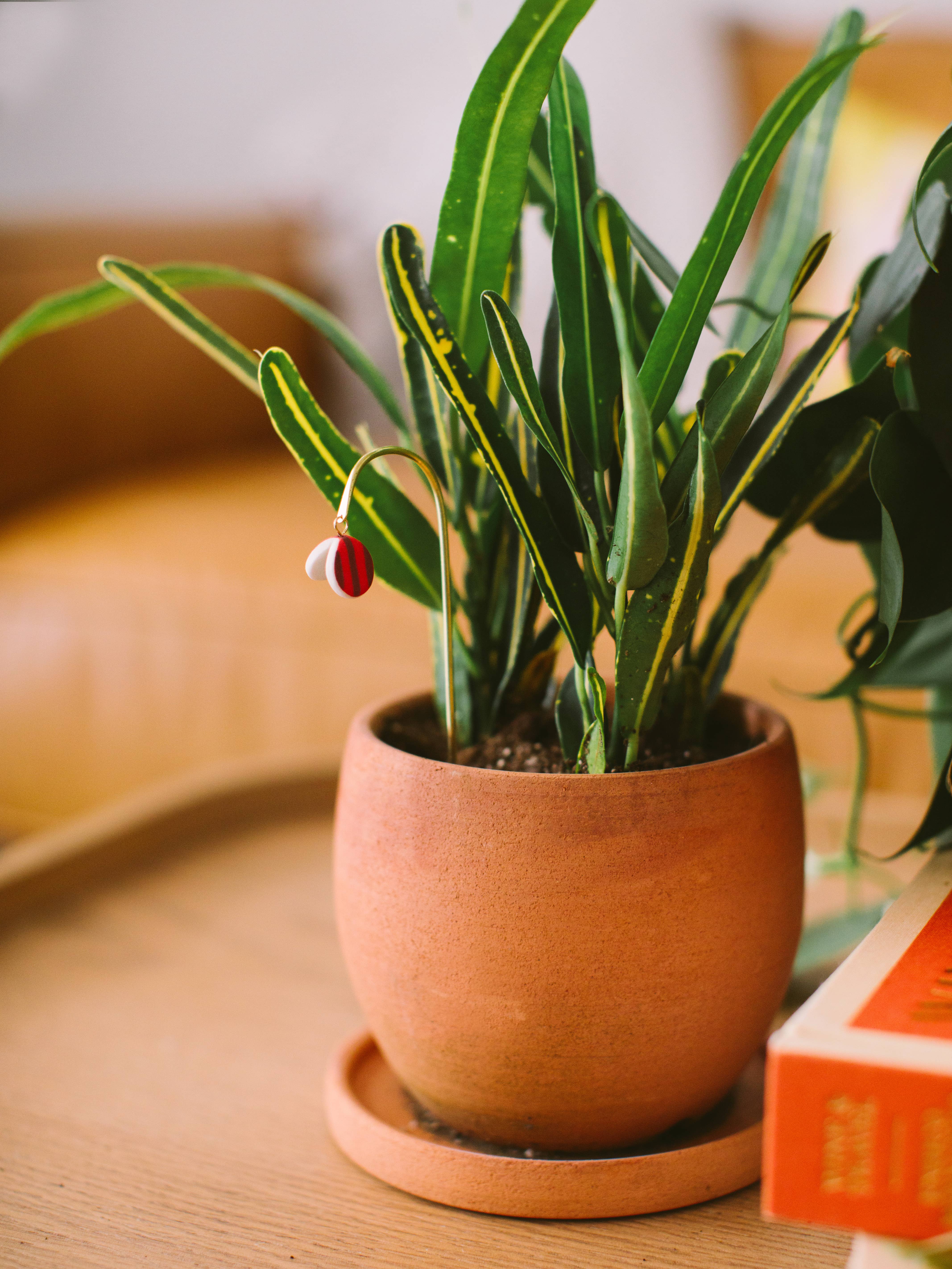 Twenty Two West - Wholesale Decorative Figurine - Plant Butterfly FW25 3