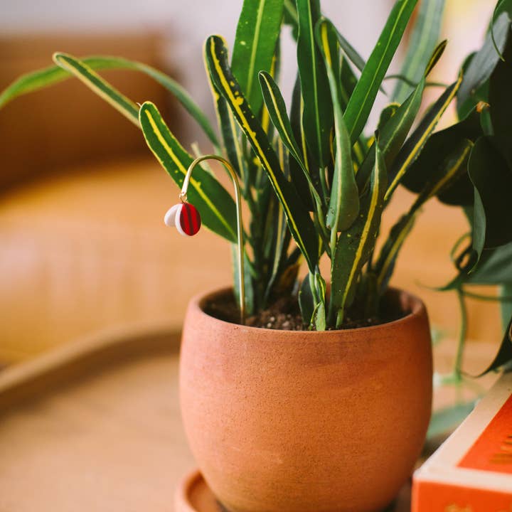 Twenty Two West - Wholesale Decorative Figurine - Plant Butterfly FW25 3