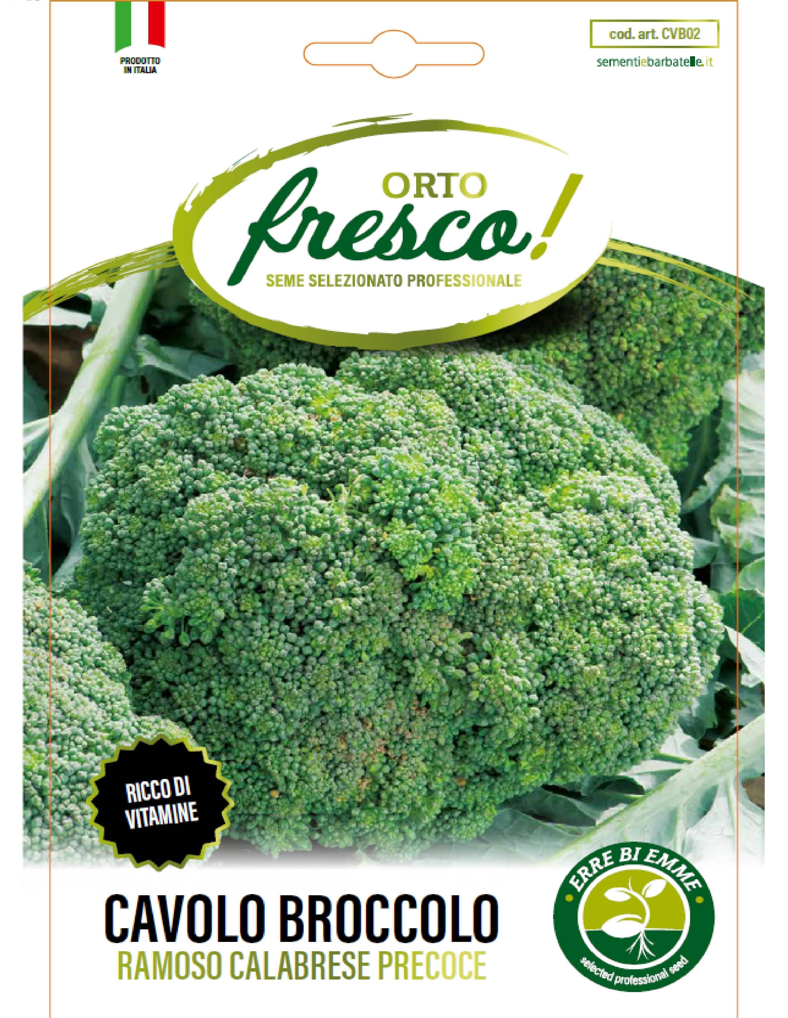 Sementi & Barbatelle - Wholesale Plant Seeds - Early Calabrese Sprouting Broccoli0