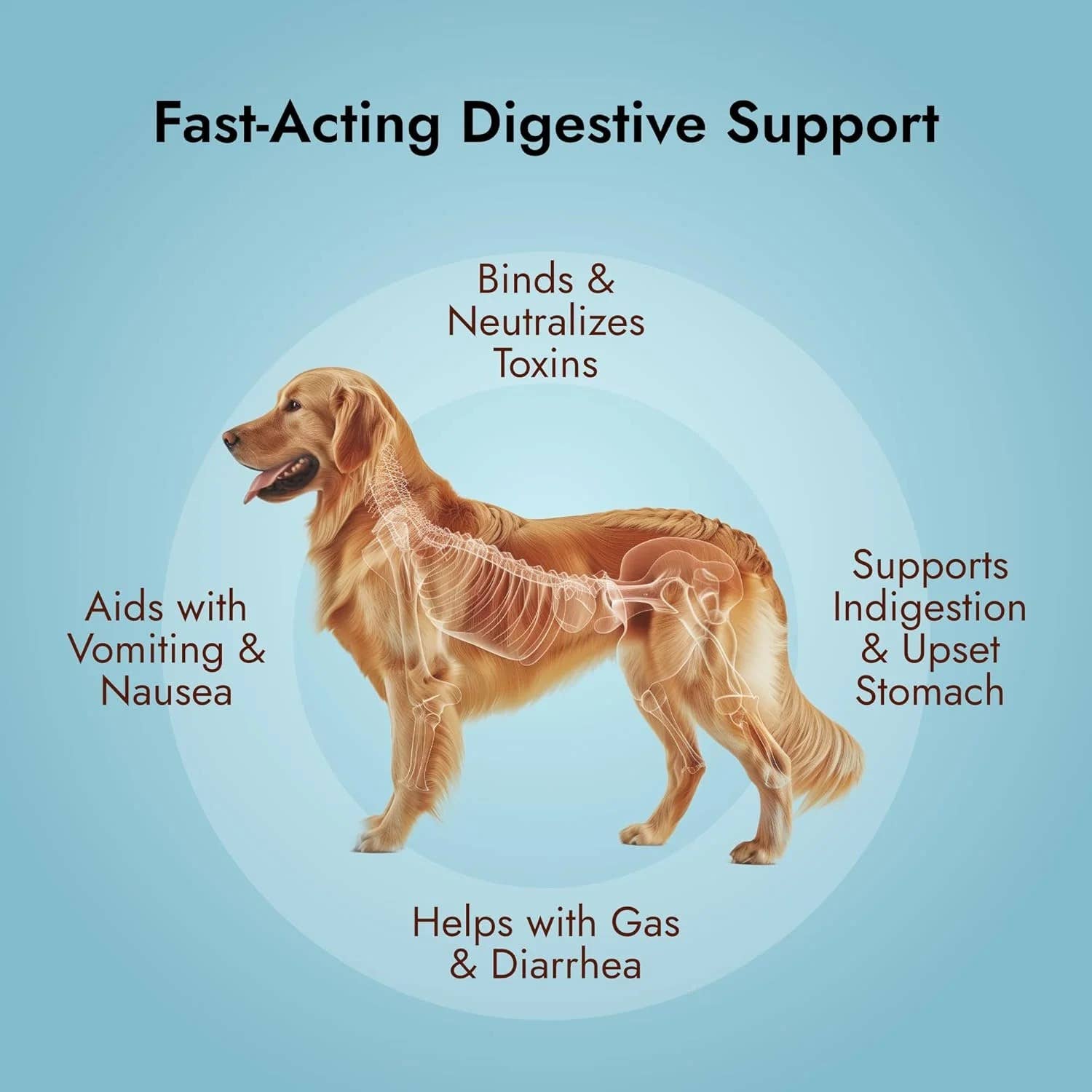 Pet Vet Products - Wholesale Pet Supplement - Cat/Dog - Activated Charcoal Gel for Dogs & Cats - Toxin Relief 60 mL3