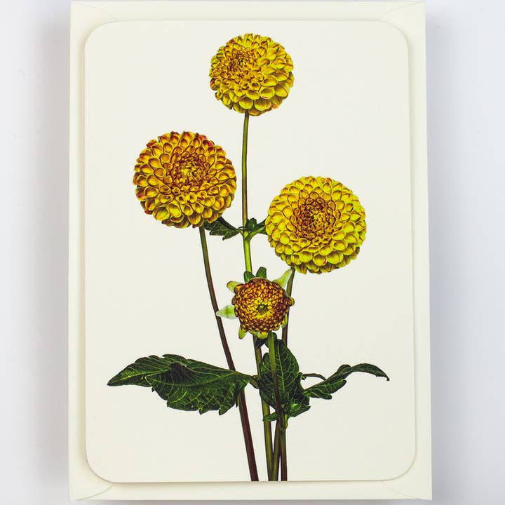 Canonbury Press - Wholesale Everyday Greeting Card - Dahlia Greeting Card | Birthday Card | Luxury Cards2