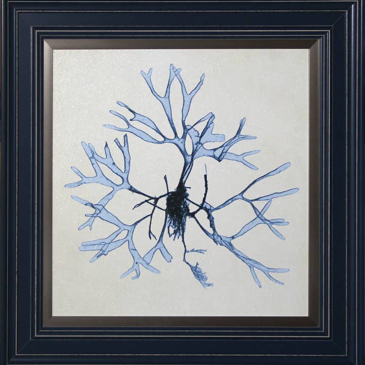 14176 for wholesale by Coastline Art