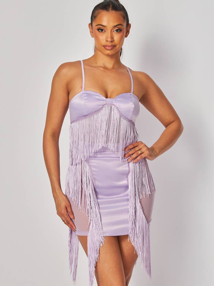 Lisa Fringe Bodycon-minijurk met contrasterende satijnen mesh HDD31467 voor wholesale door Hot & Delicious