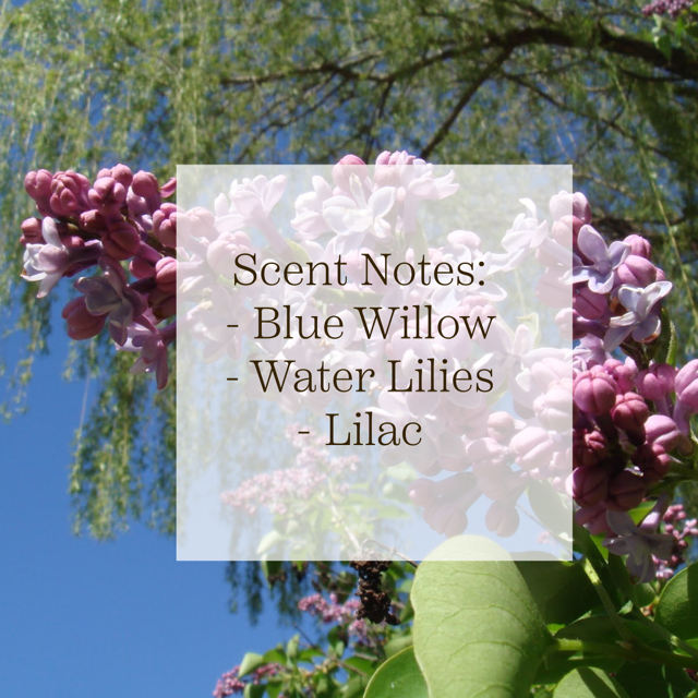 A Scent Story Candle Co - Wholesale Jar/Filled Candle - Banned Book Collector | Bookish Candle | Soy Wax3