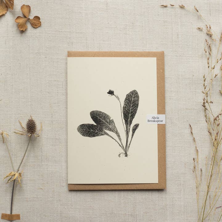 Primrose Flower Greeting Card A6 Recycled Card for wholesale by Alicia Breakspear