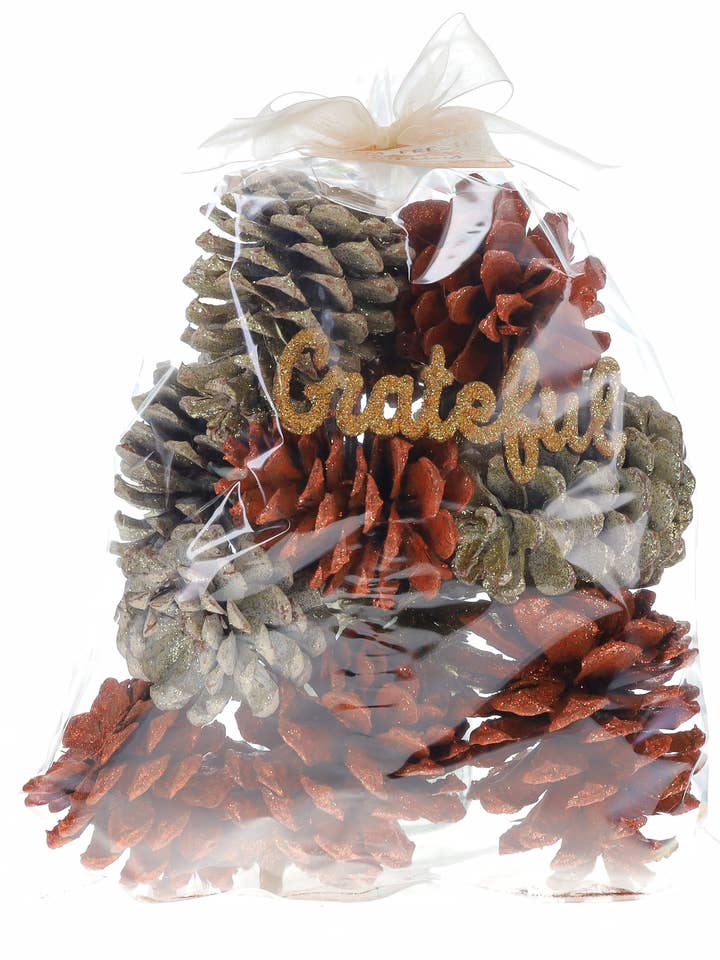 Farm Fresh Pumpkins Glitter Pinecones for wholesale by Comforts of Home