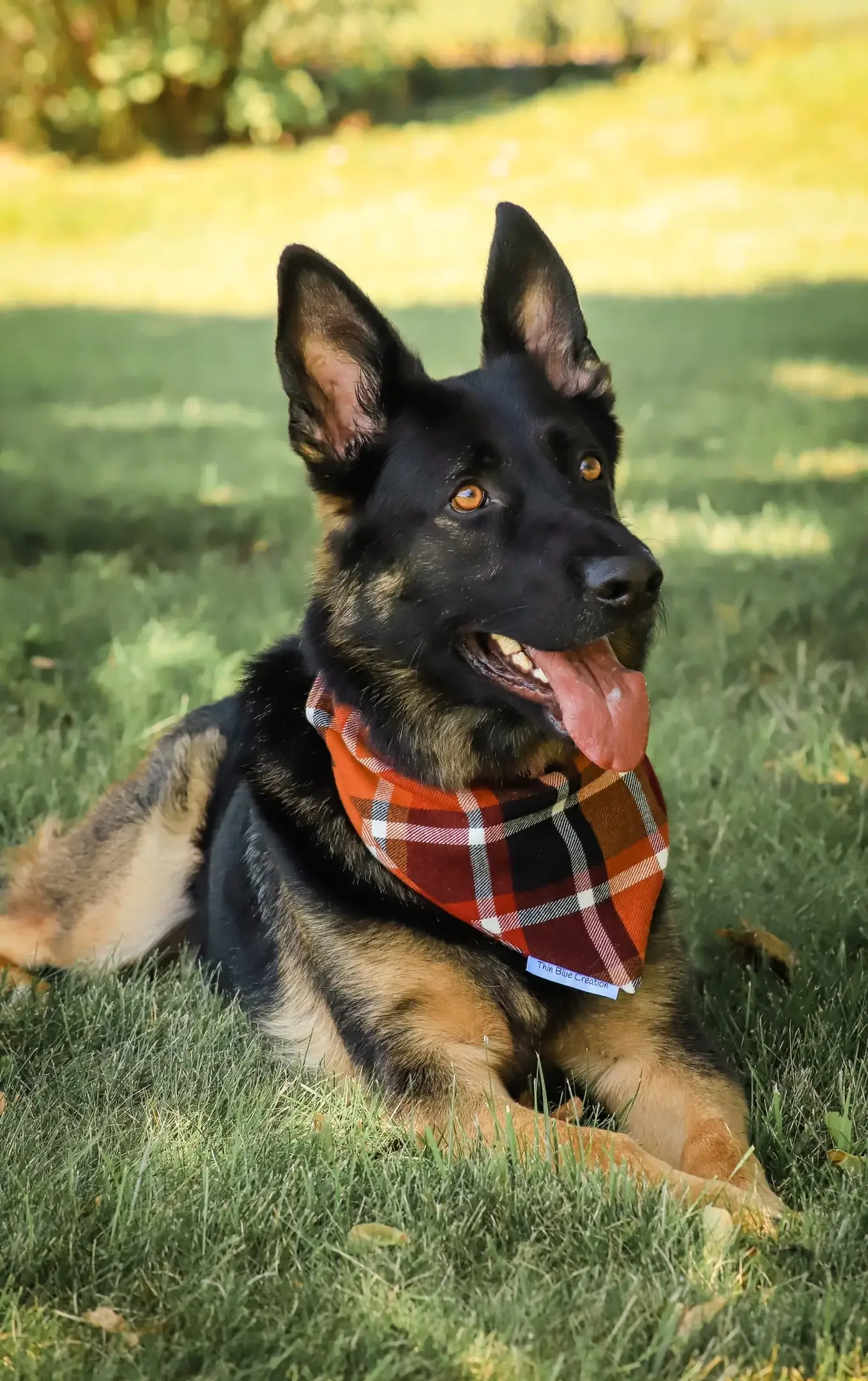 Bark ‘nd Blue - Wholesale Pet Bandana - Dog - Sweater Weather Fall Scrunchie Bandana1