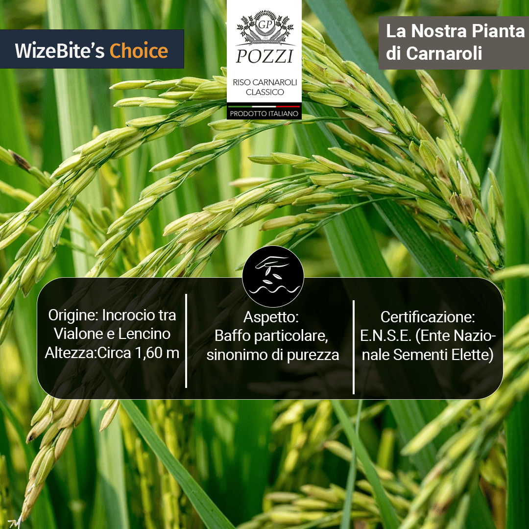 BENVOLIO.BIO by Wizebite S.r.l. SB - Wholesale Rice - POZZI Premium Carnaroli Risotto Rice Chef's Choice 1kg4