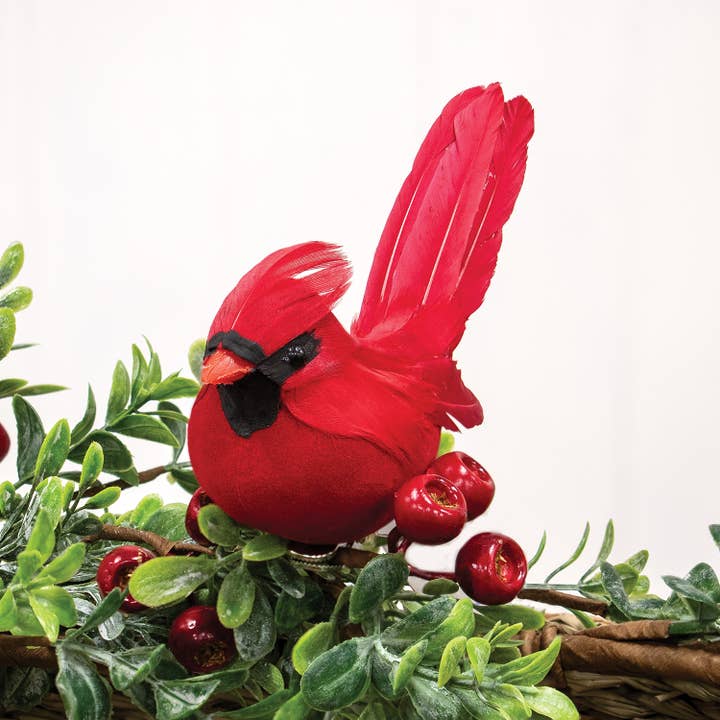 Saybrook Lane - Wholesale Christmas Decoration - Mini Red Feathered Cardinal Clip1