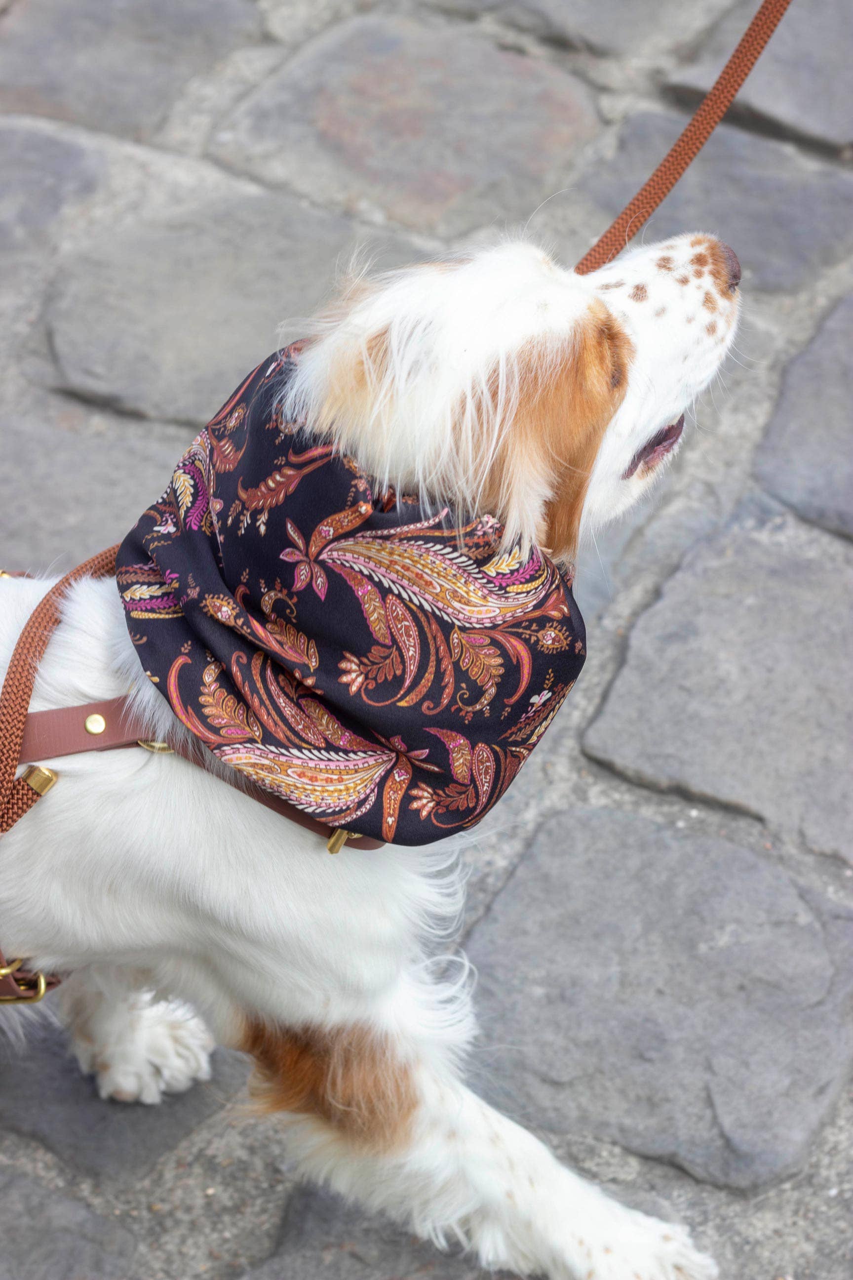 Atelier Markiz - Wholesale Pet Snood - Dog - Kashmir Snood2