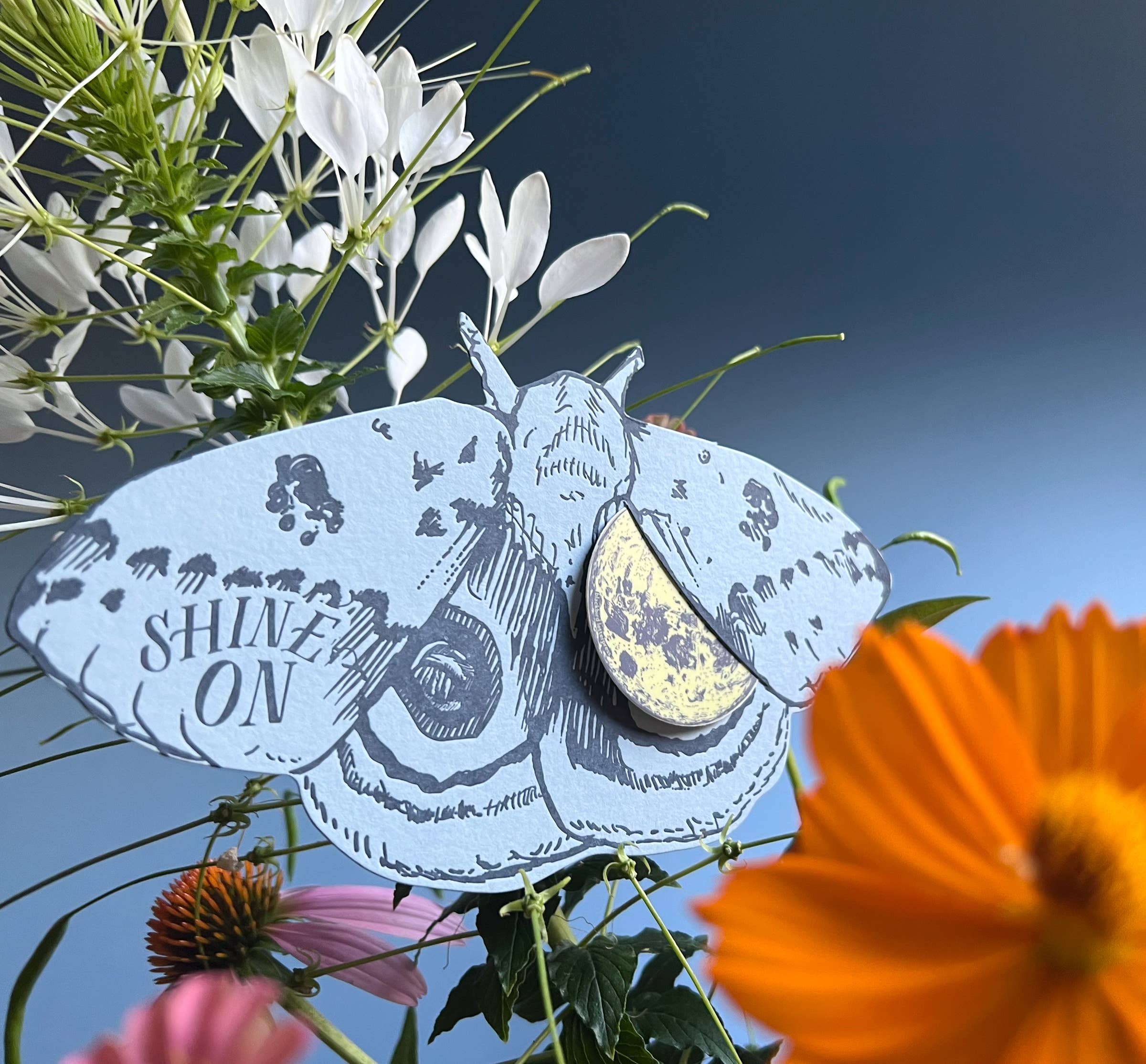 Blackbird Letterpress - Wholesale Everyday Greeting Card - Io moth shine on gift card1