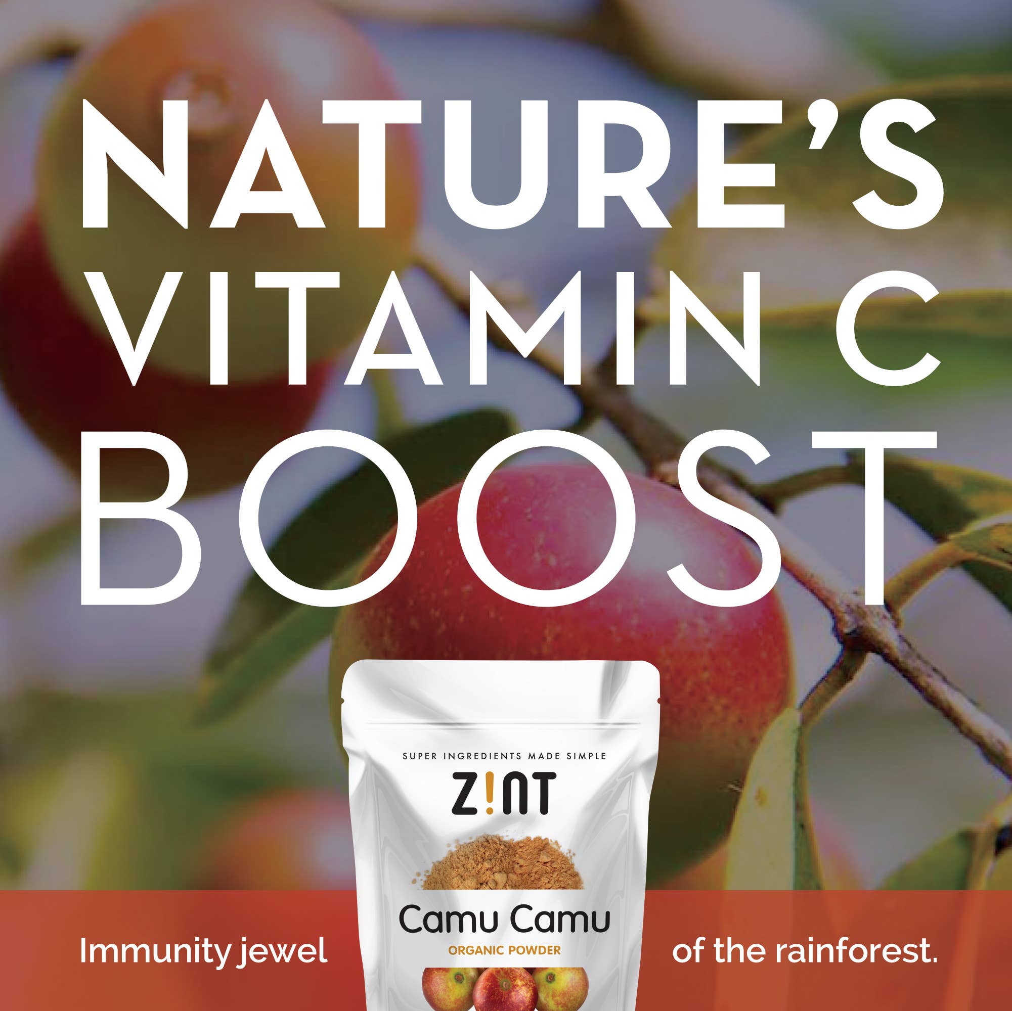 Zint Nutrition - Vente Poudres protéinées/superaliments - Poudre de camu camu biologique (3,5 oz)3