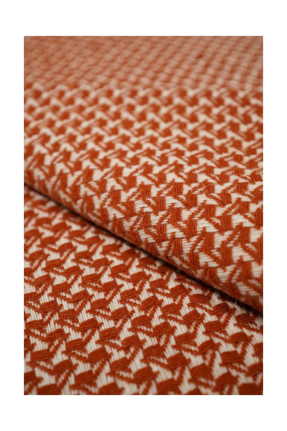 Chicoração - Vendita all'ingrosso Plaid - Coperta Rondine - più colori64