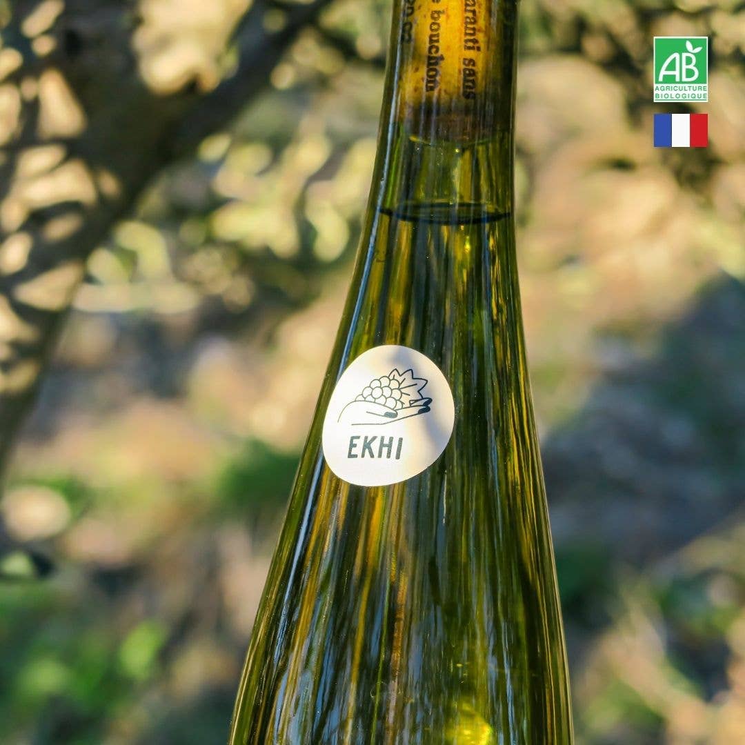 Ekhi - Wholesale White Wine - WHITE WINE | Organic dry Muscat 2024 "Meet Laure"2