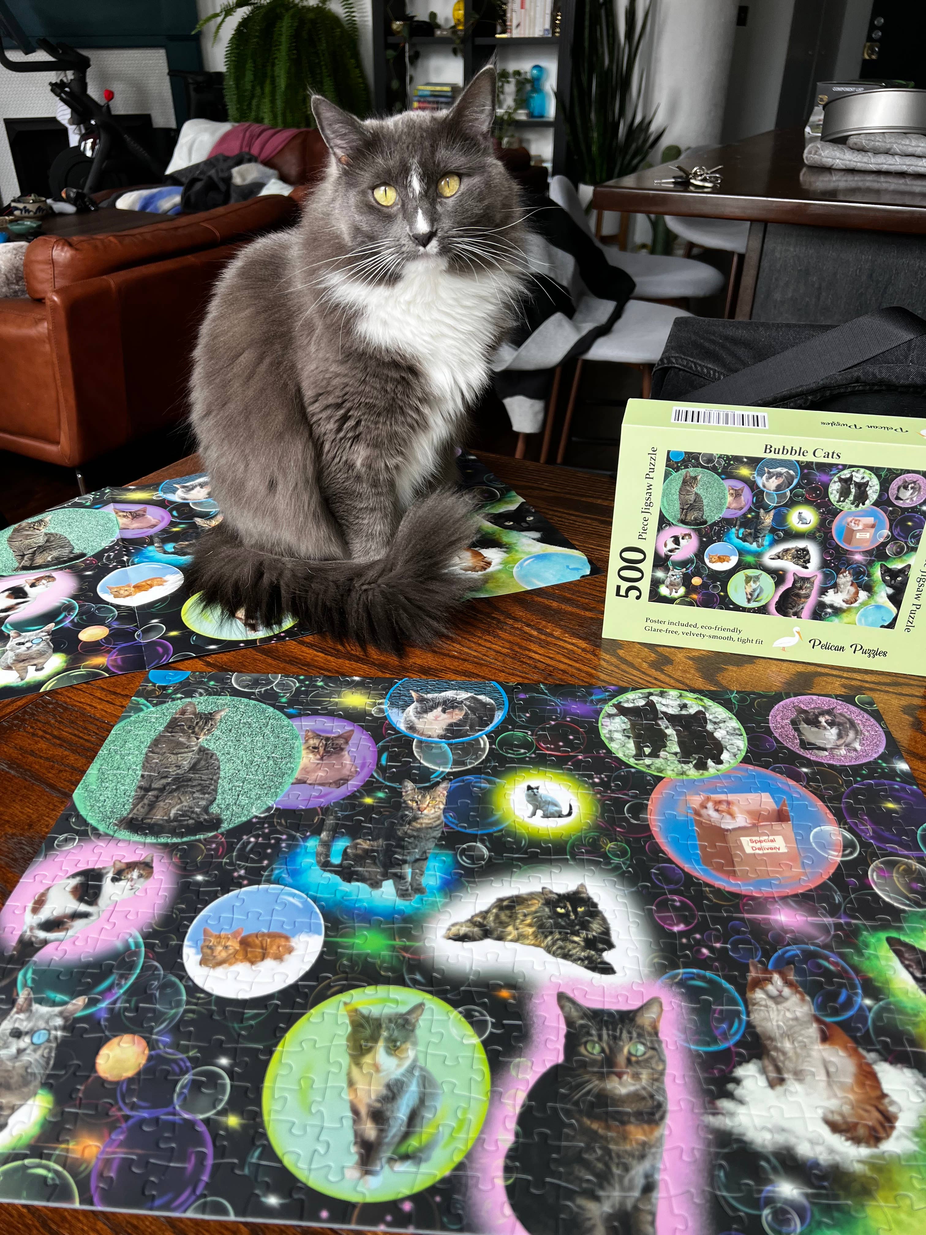 Mimsybird Puzzles – wholesale Puzzle – Adult – Bubble Cats 500-piece Premium Jigsaw Puzzle5