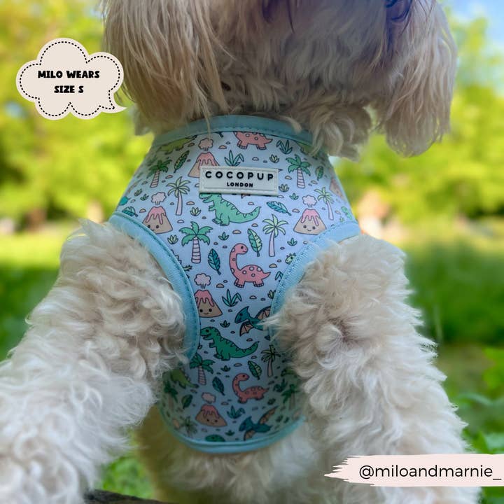 Cocopup London - Venta al por mayor Arnés - Perros - Arnés ajustable para cuello Dinopaws13