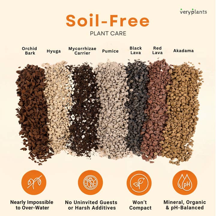 Veryplants US LLC - Wholesale Planting/Potting Soil - Molly's Succulent Mix - Premium Soilless Gritty Mix- 5 Quart