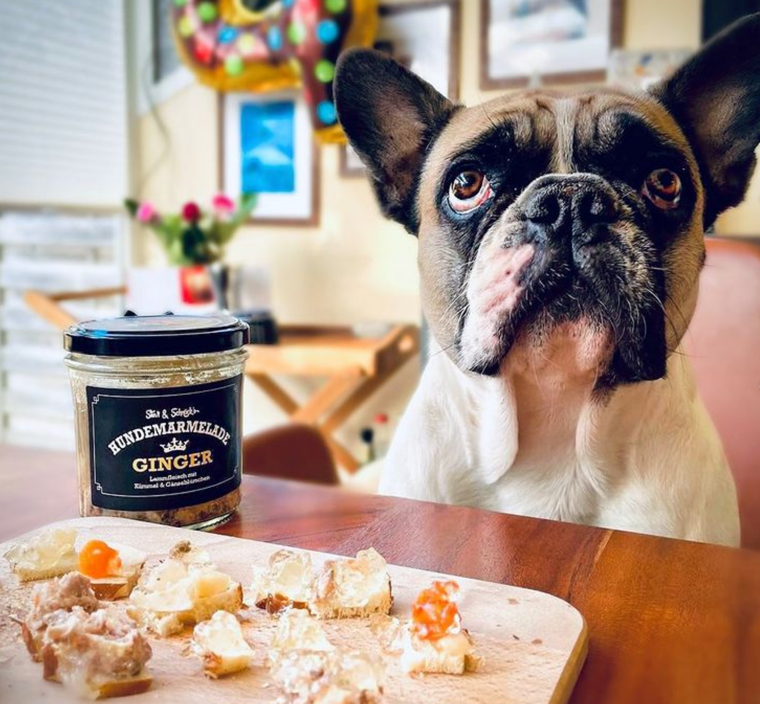 Meister Handelsmarken GmbH - Wholesale Pet Food - Dog - DOG JAM BRATWURST2