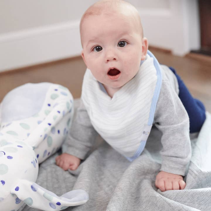 GooseWaddle + Pello - Wholesale Bib - Baby - 2 PK Muslin & Terry Cloth Bib Set Popsicles/Stripes