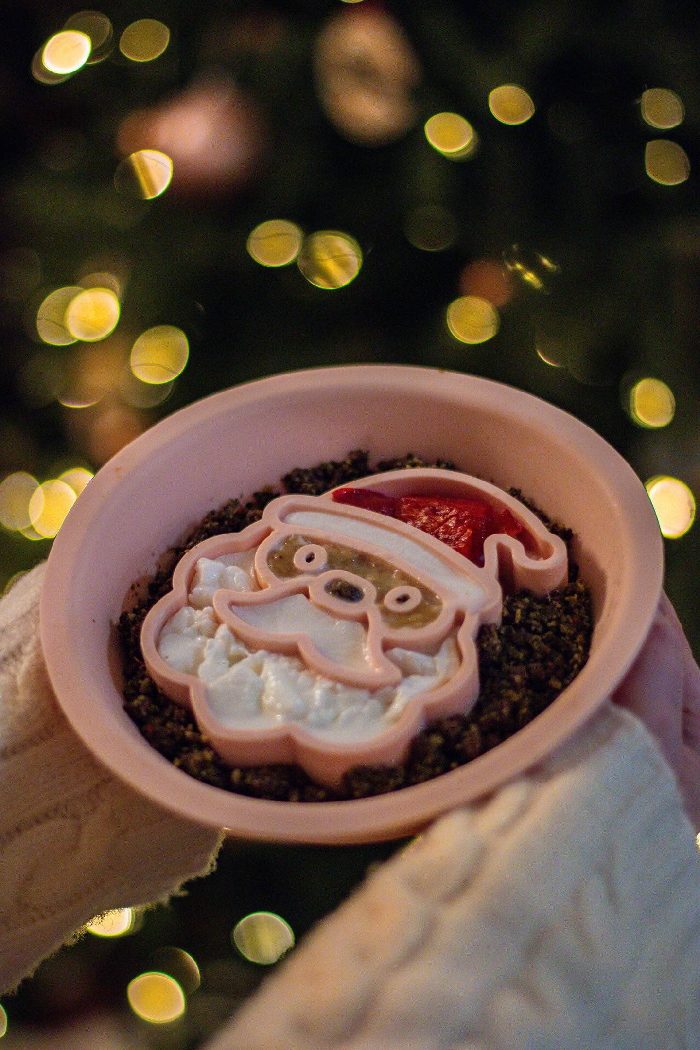 Bodhi & The Birchtree - Wholesale Pet bowl – Dog - Festive Santa Dual Slow Feeder/Lick Mat Bowl