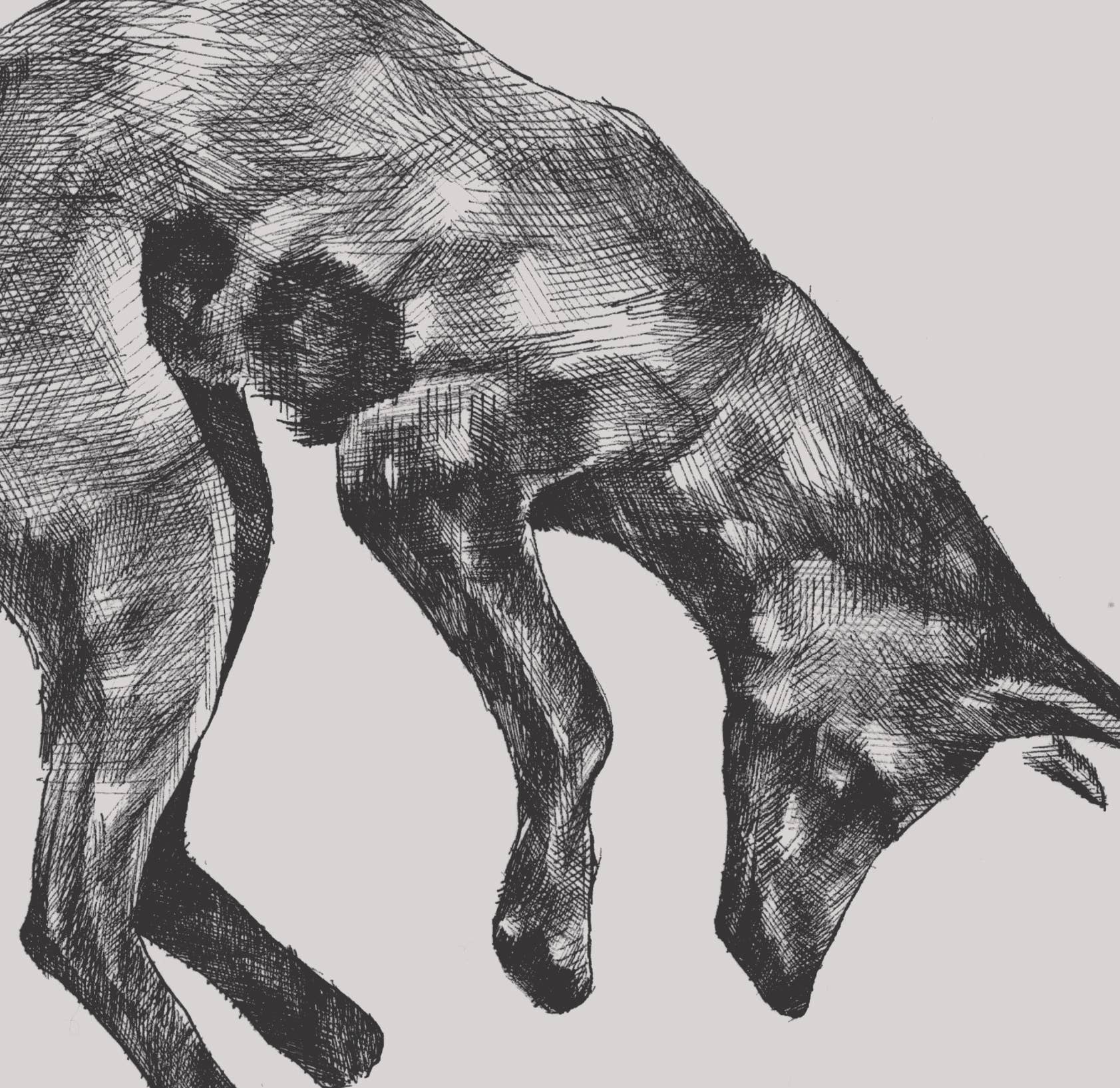 Black Lantern - Wholesale Screen Printed T-Shirt - Unisex - The Hunt T-Shirt1