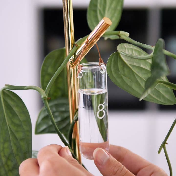 Air Branch - Sistema modular de suporte de instalações por atacado de Greenfinity