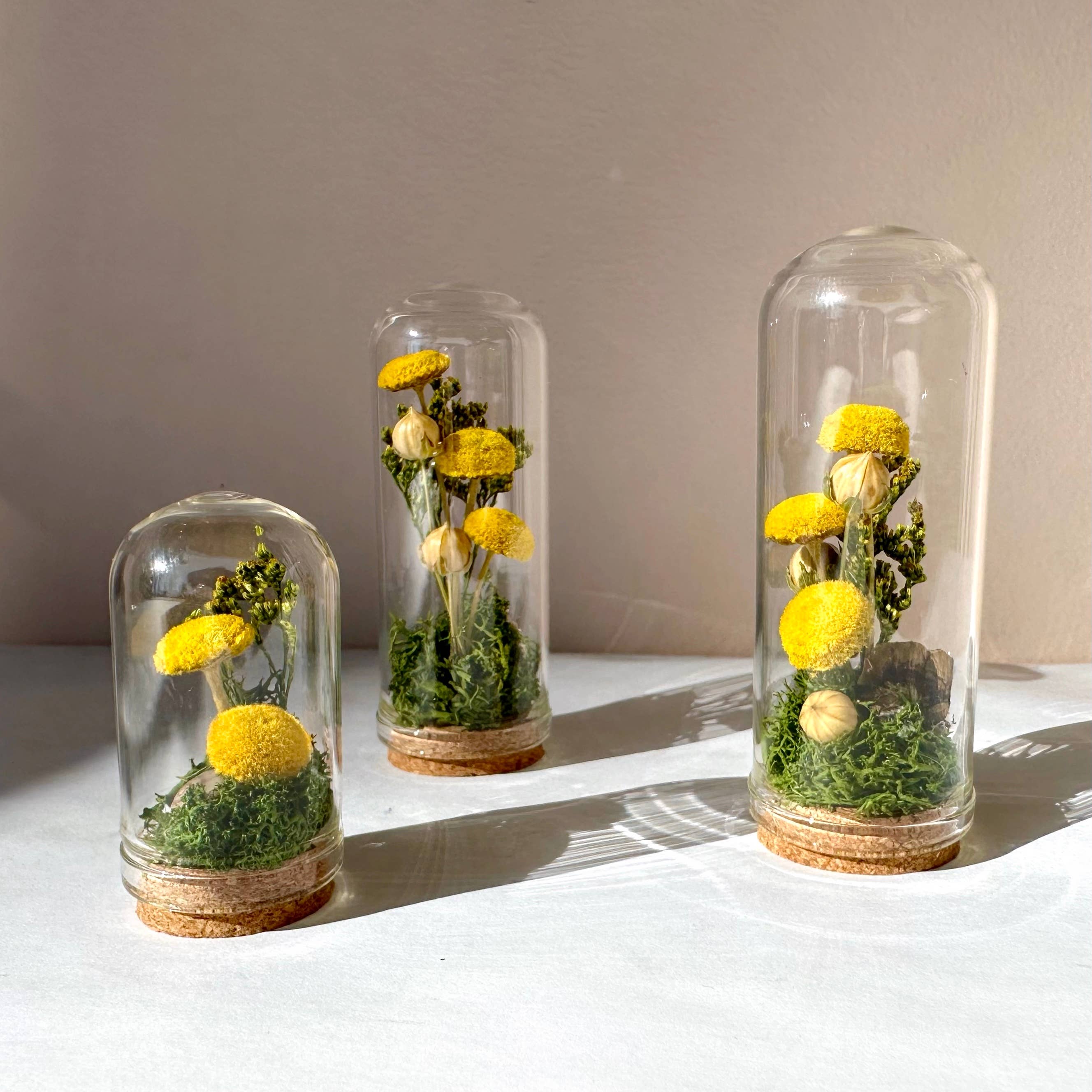 CA Studios - Wholesale Terrarium - Yellow Mushroom Fields Mini Glass Terrarium w. Dried Florals5