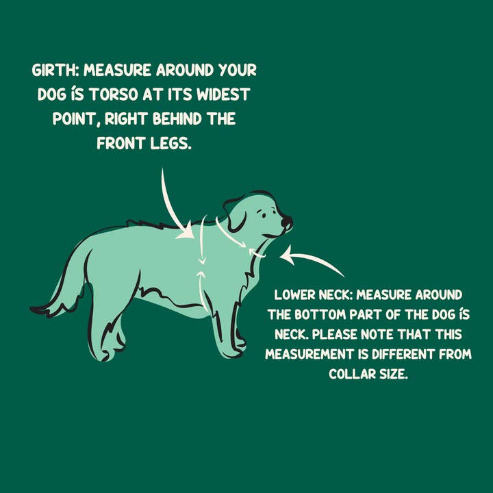 Wildside Dog Gear - Wholesale Pet Harness - Dog - Aurora Polar Bear Adjustable Dog Harness 8