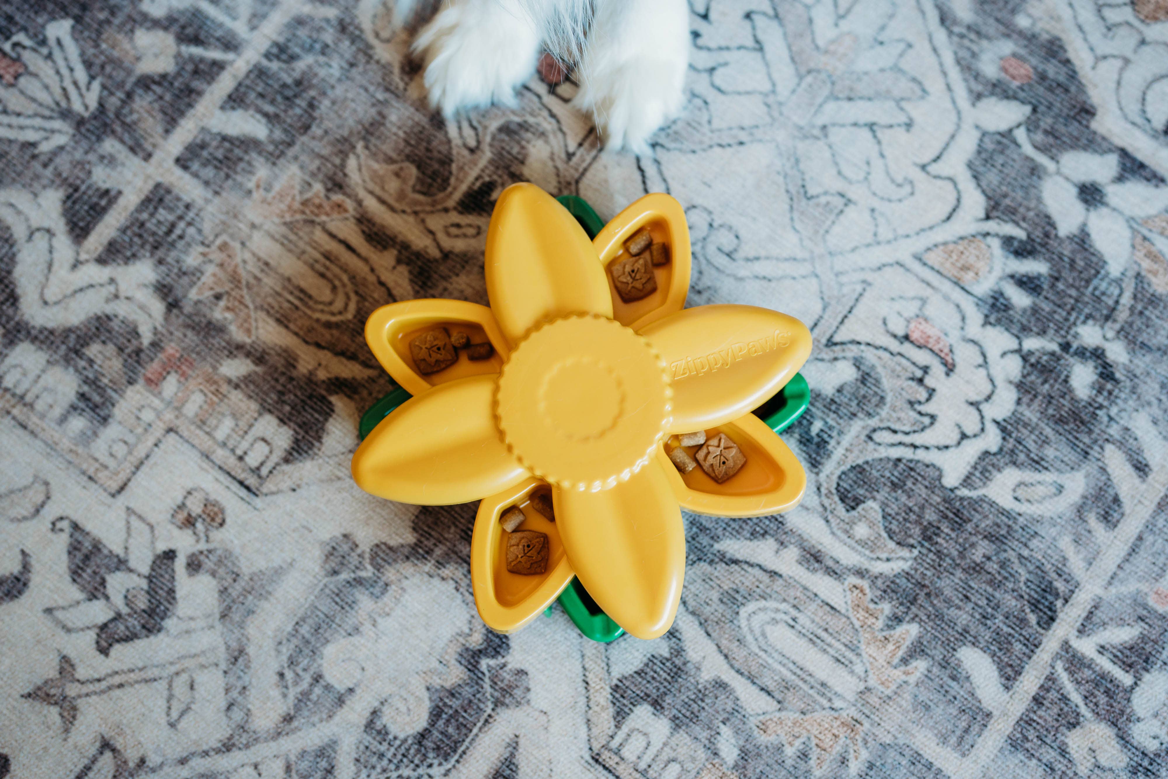 ZippyPaws - Wholesale Pet Toy - Dog - SmartyPaws Puzzler - Sunflower - Interactive Dog Toy2