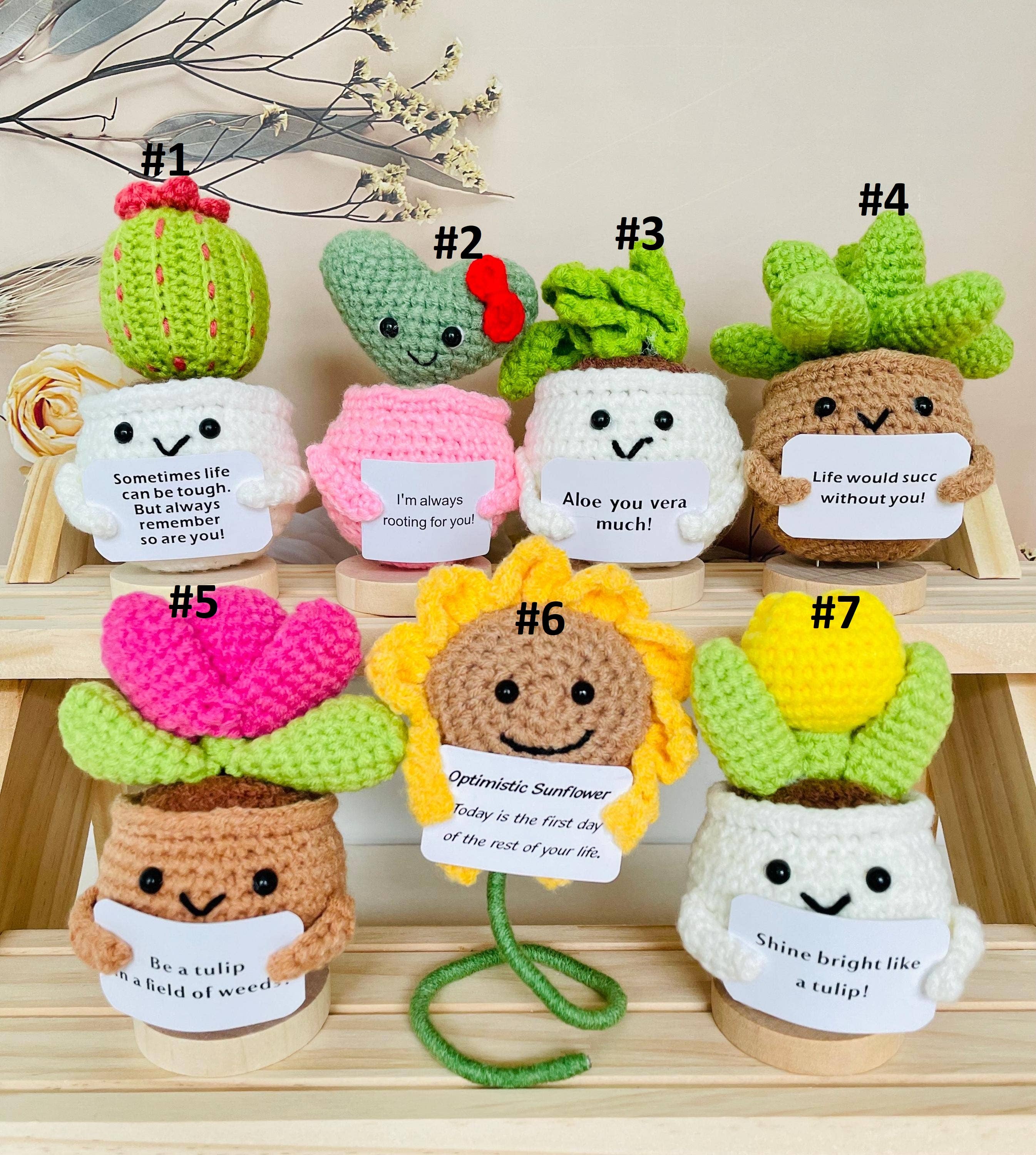 TOMOPOD LLC – wholesale Christmas decoration – Crochet Cactus Succulent Plant Emotional Support6