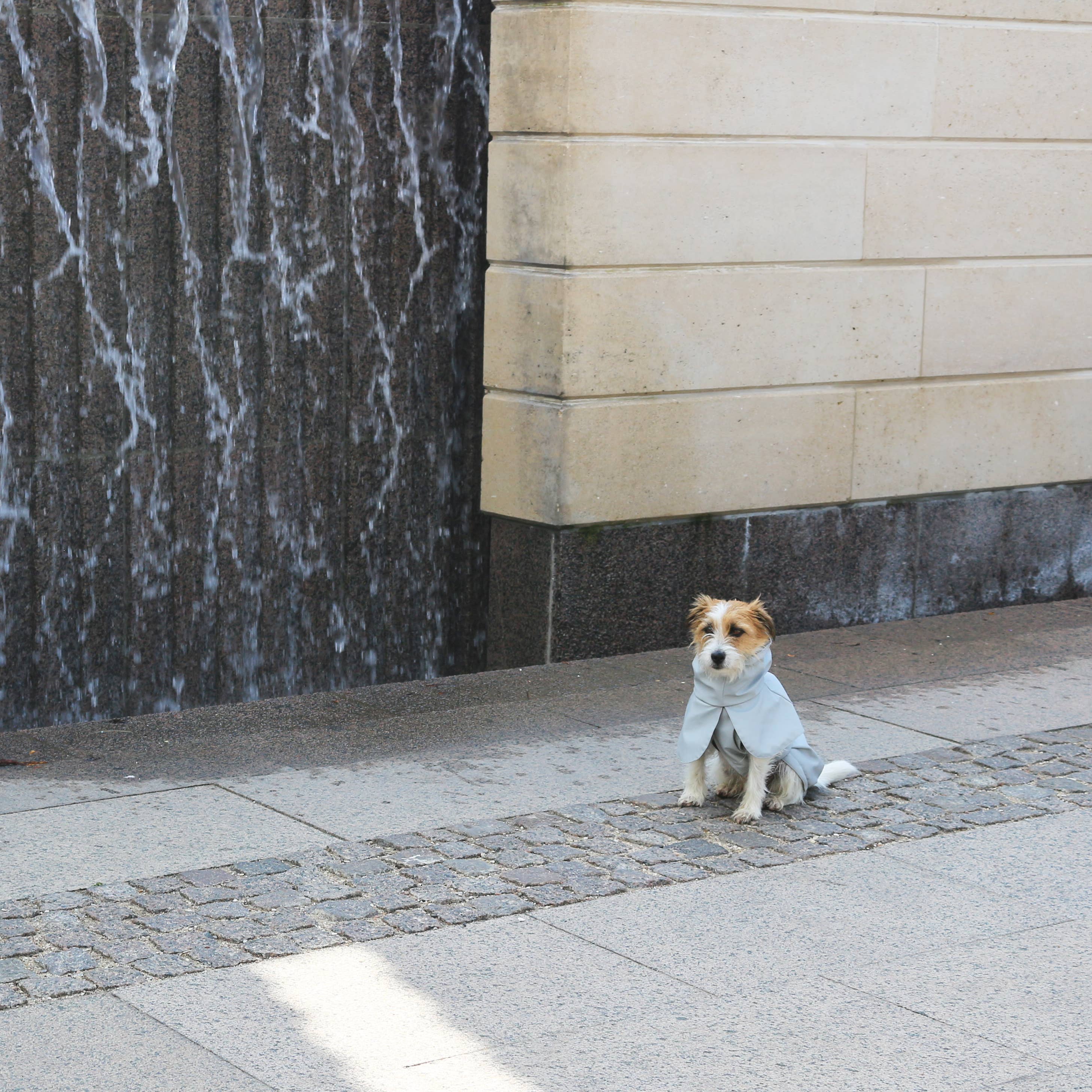 tadazhi – Engroshandel Regnovertræk - Hund – Regnjakke til hund i lys grå med justerbar pasform4